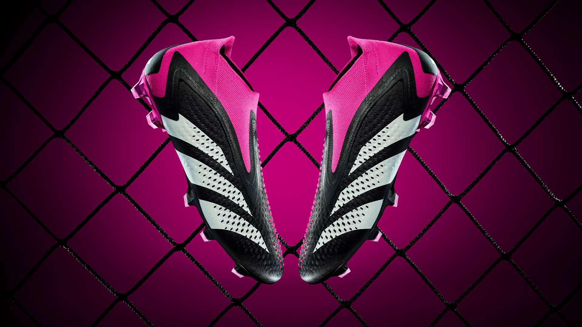 在一个日益 在一个日益